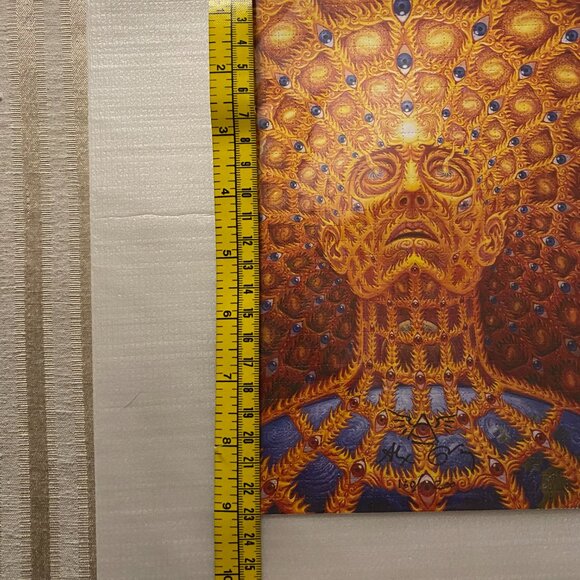 ALEX GREY OVERSOUL PRINT #160/200 SIGNED (taking offers) - Picture 13 of 13